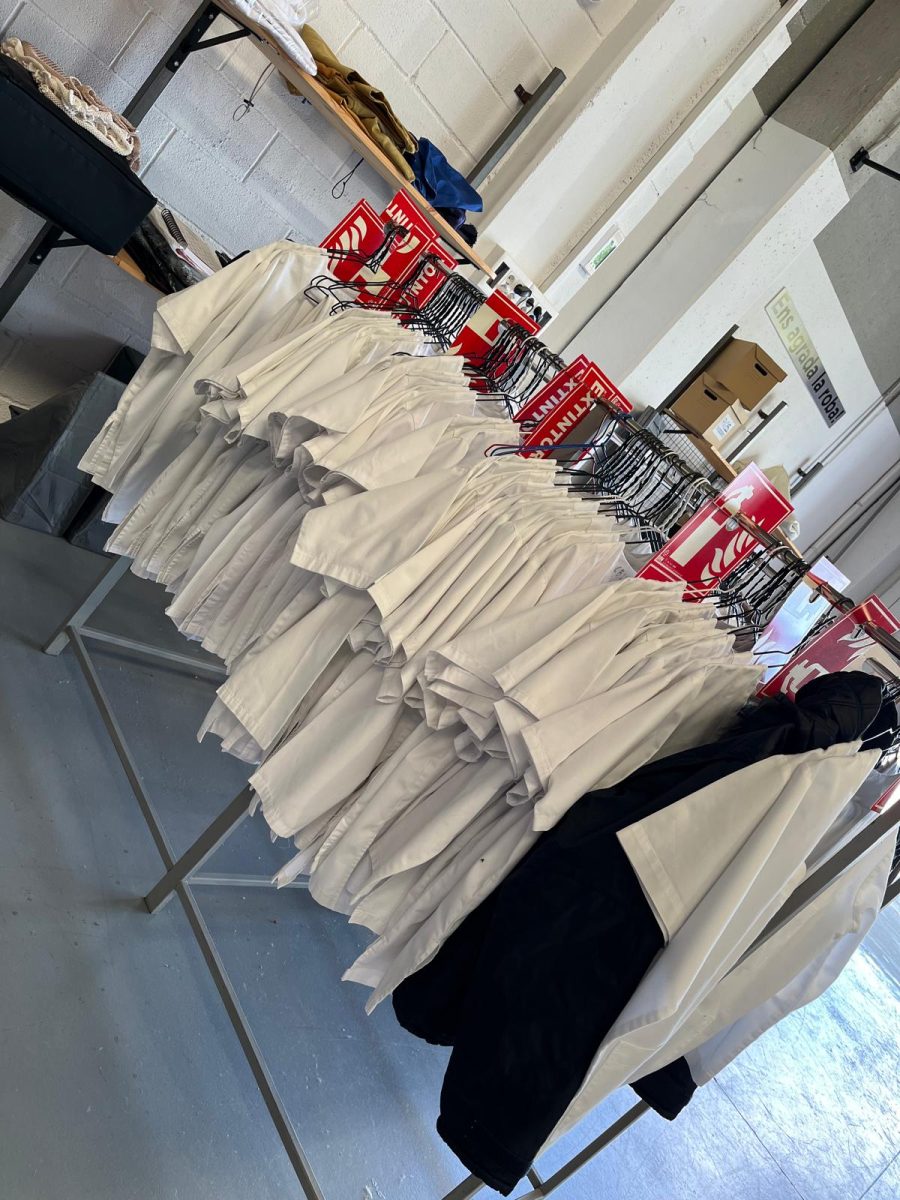 WhatsApp Image 2024 11 10 at 16.28.35