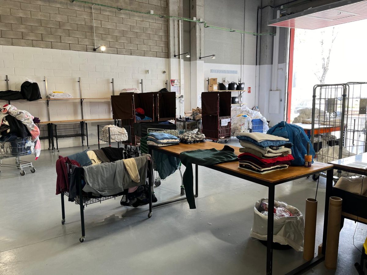 WhatsApp Image 2025 04 09 at 13.20.54 1